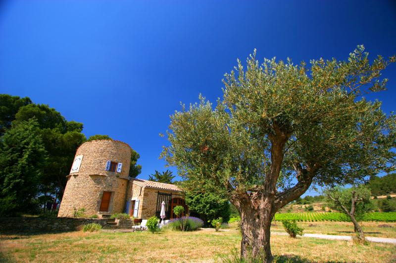 Château Saint Jacques d'Albas